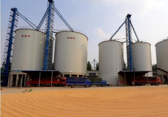 河南粮食仓容量达9510万吨 居全国第一