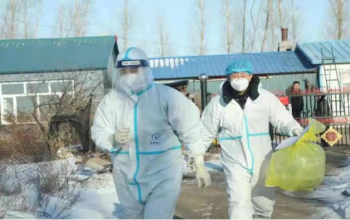 富裕县税务局党员志愿者助力村民做核酸