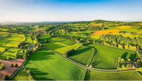 “十四五”，农业农村现代化这样推进