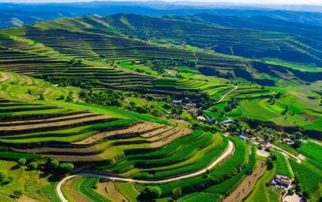 甘肃省探索创新“万企兴万村”乡村振兴模式