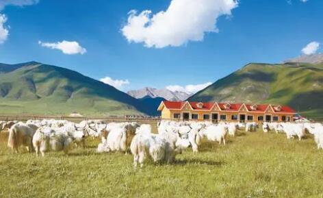 青海省商务厅制定13项措施助力乡村振兴“加速度”