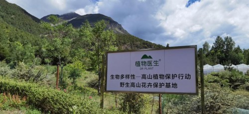  打造“品牌+公益”模式 植物医生用行动助力生物多样性保护