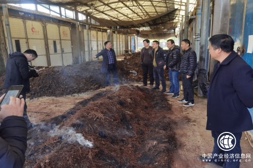 郴州嘉禾烟草：注重 “细”举措 展现“大”作为