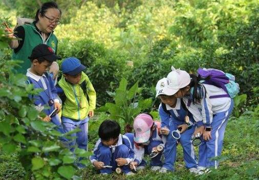 全国首个省级自然教育规划正式印发
