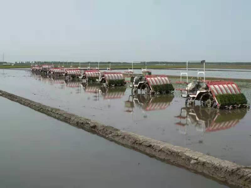 北大荒股份七星分公司农机智能化开启智慧农业新时代