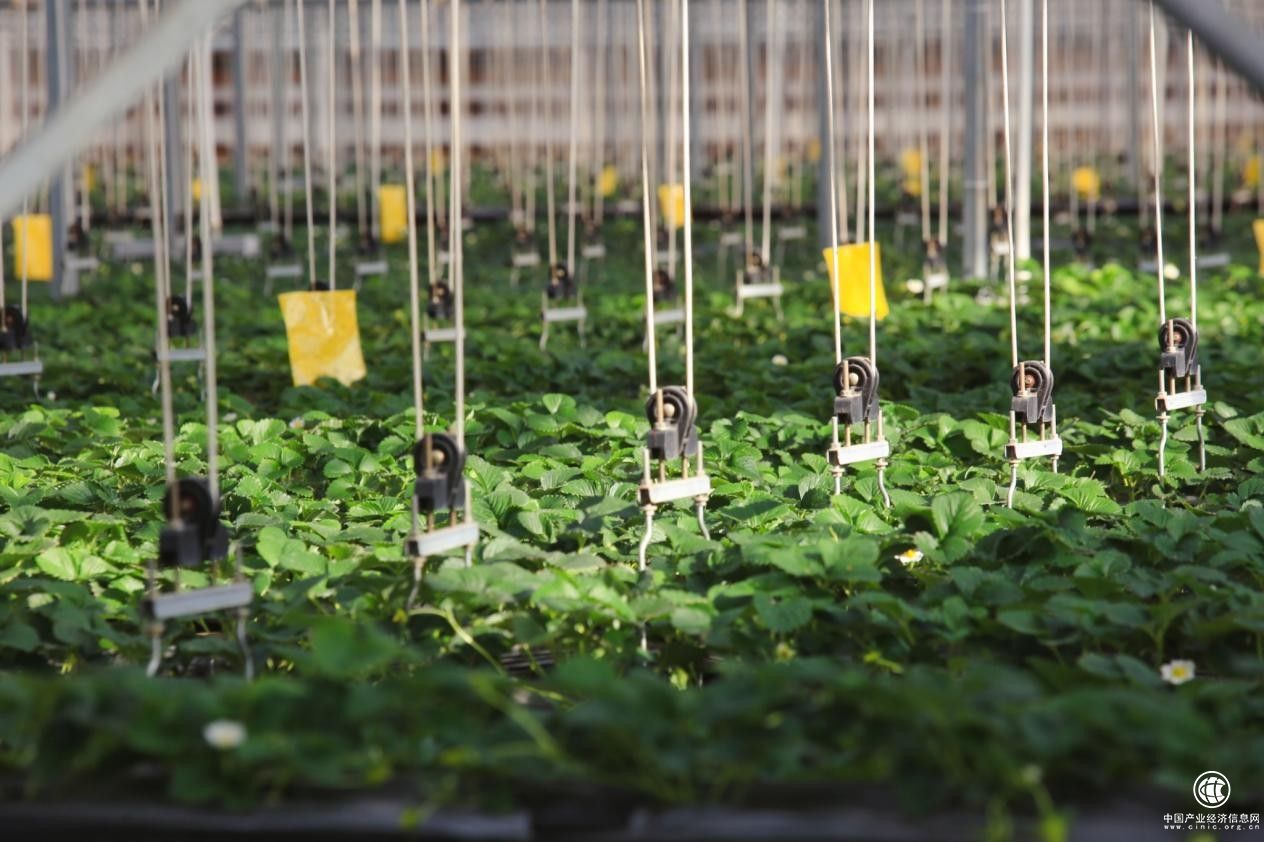  汇源Openday媒体行：寒冬中的温情生态之旅