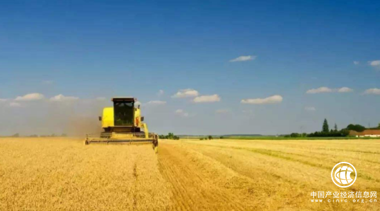 数字棉花：人工智能与现代农业的完美结合