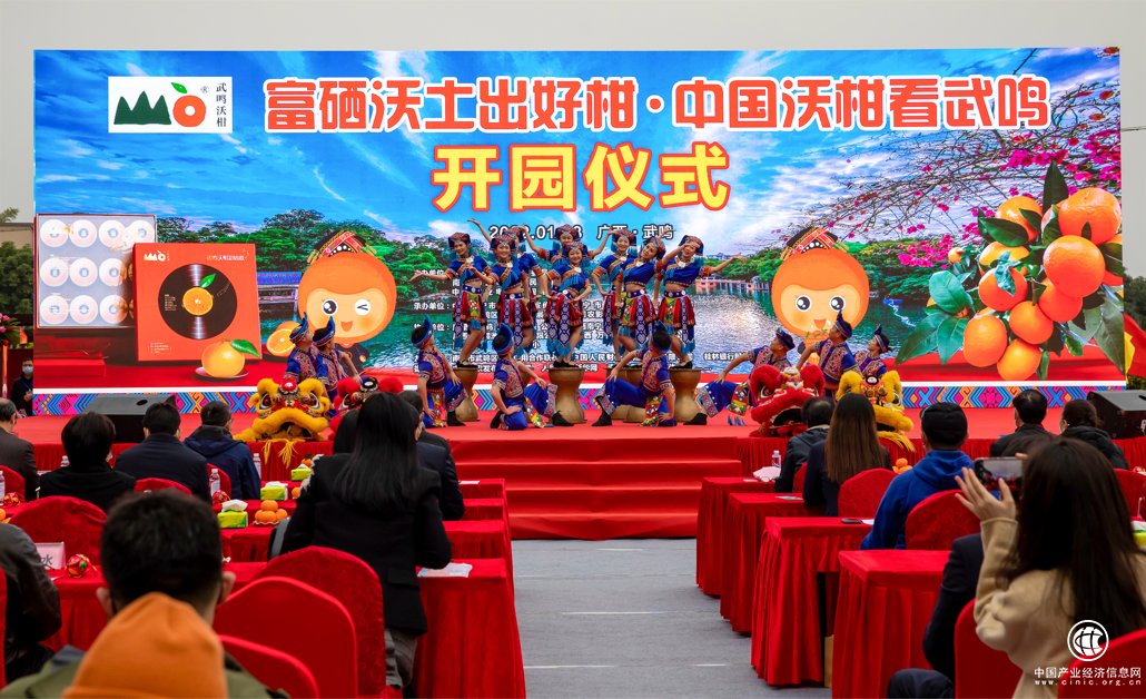  富硒沃土出好柑，中国沃柑看武鸣——2022年武鸣沃柑开园系列活动在武鸣区成功举办