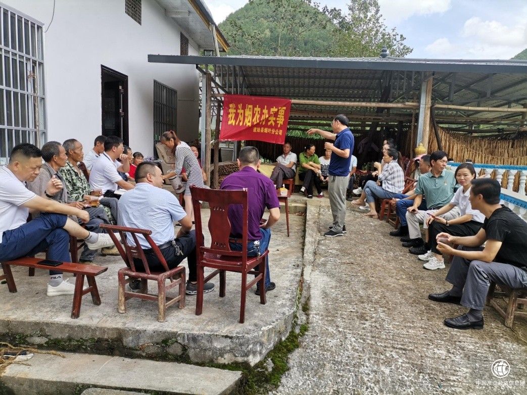  这份“我为烟农办实事”成绩单很亮眼