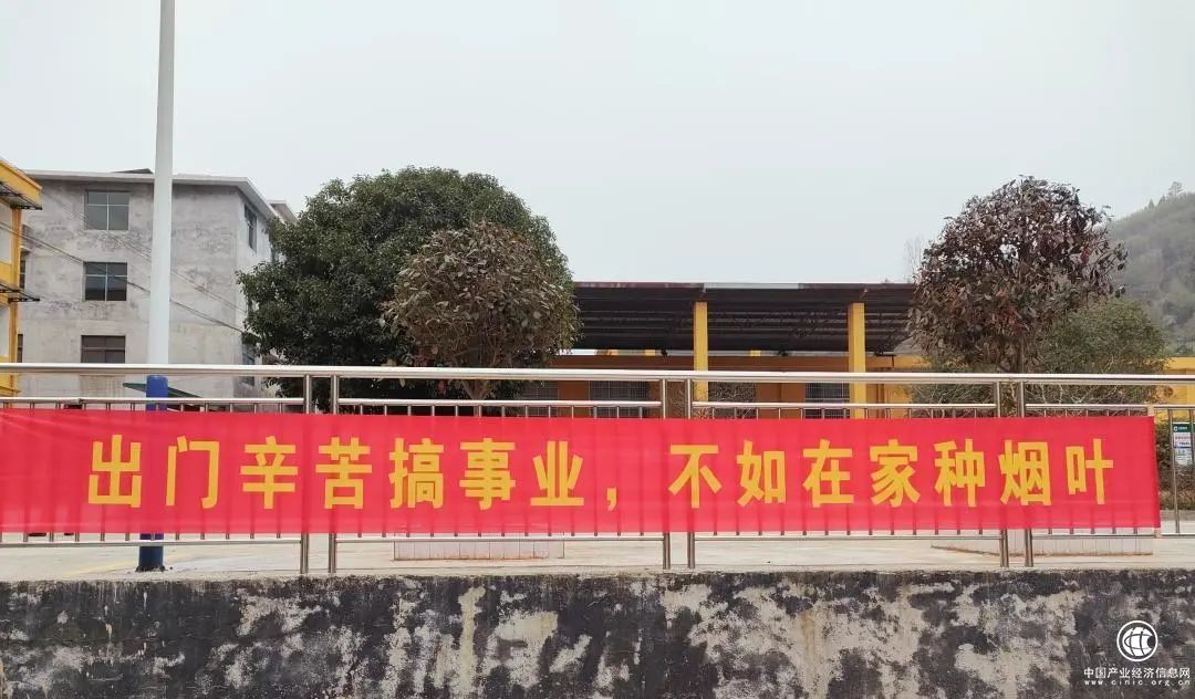  湖南邵阳烟草开展“迎老乡回故乡建家乡”烟叶产业发展恳谈会