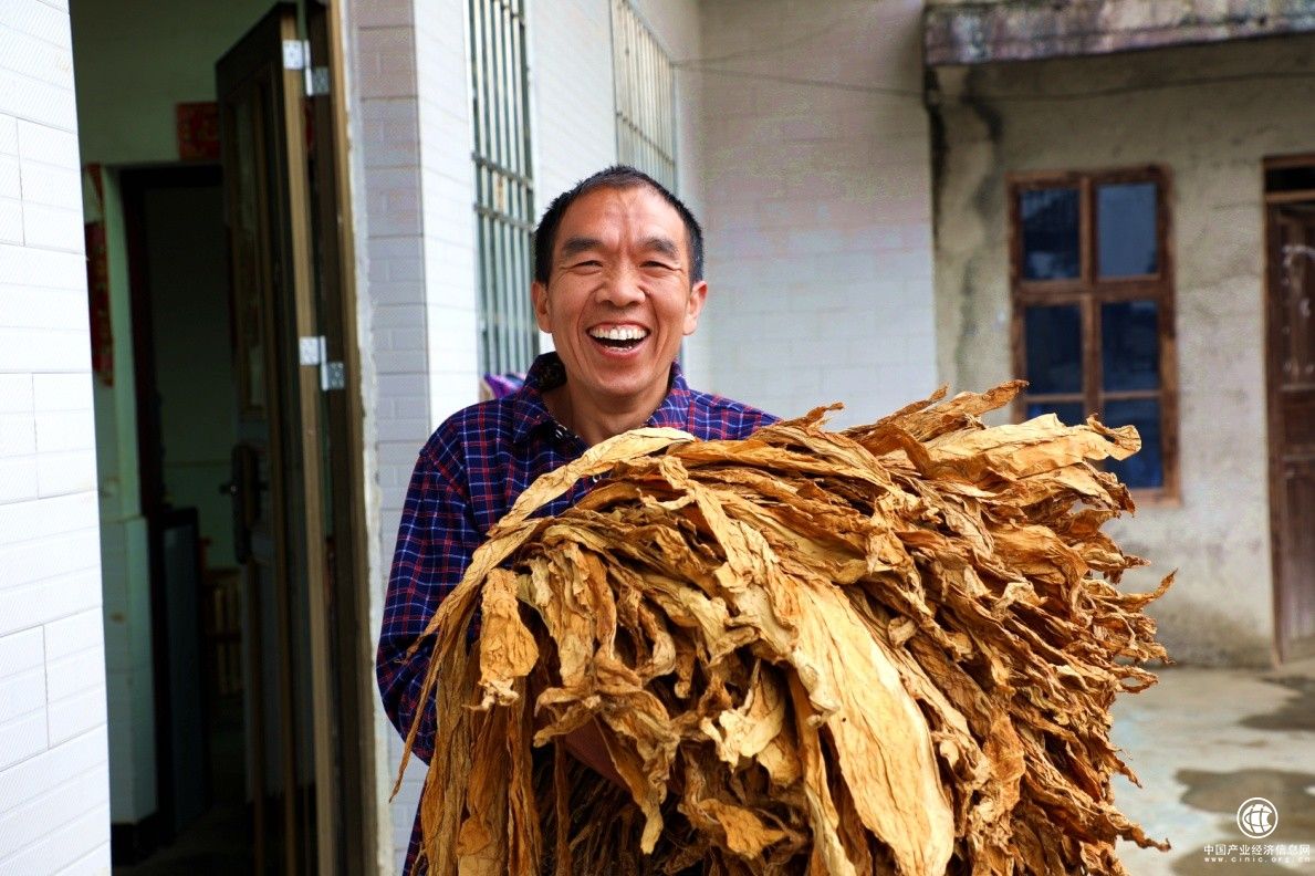  湖北恩施烟草：黄金叶上话幸福