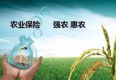 财政部有关负责人就修订出台《中央财政农业保险保费补贴管理办法》答记者问