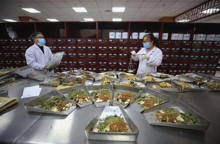 《推进中医药高质量融入共建“一带一路”发展规划(2021-2025年)》政策解读