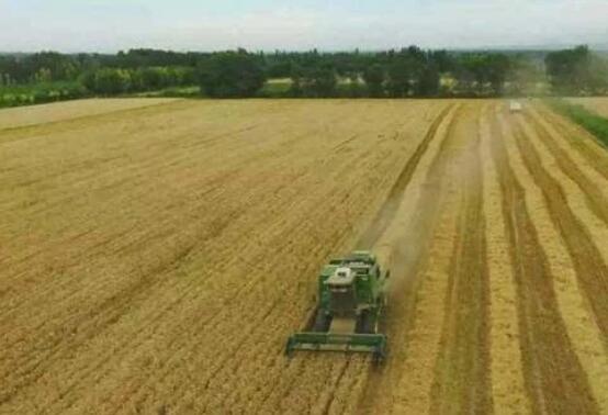 新疆耕地面积超1亿亩 总体规模位居全国第五