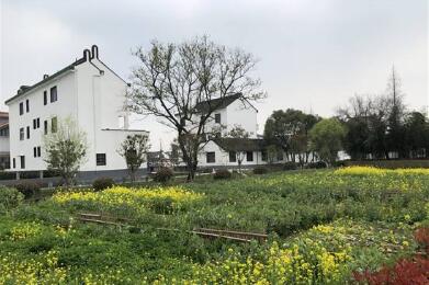 耕读教育实践基地落户长三角“田园五镇”