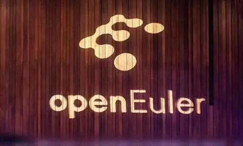 欧拉商用出货超60万套 今年有望成服务器OS新增第一