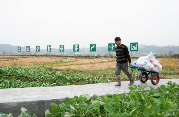 湖南湘西脱贫村的振兴“清单”