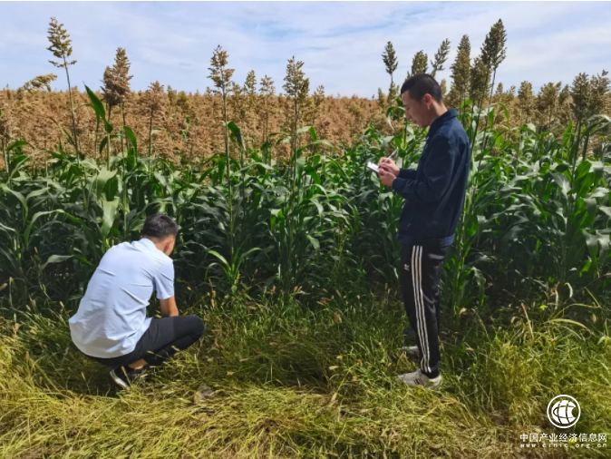  中华保险口碑好不好 因地制宜积极创新