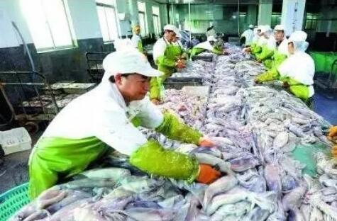 福建省水产品出口连续9年居全国第一
