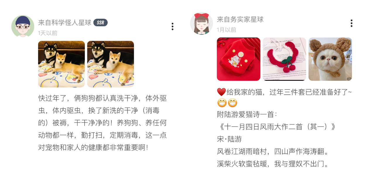 猫猫狗狗如何过大年？报告：超半数90后“铲屎官”愿带宠物一起回老家过年