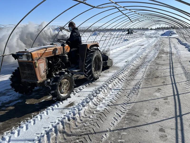 北大荒集团七星农场：备耕抢农时 服务促春耕