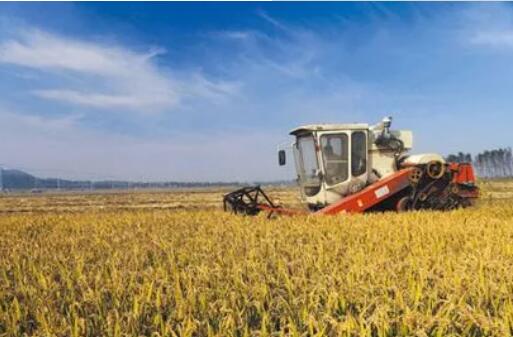 安徽省出台“两强一增”行动方案