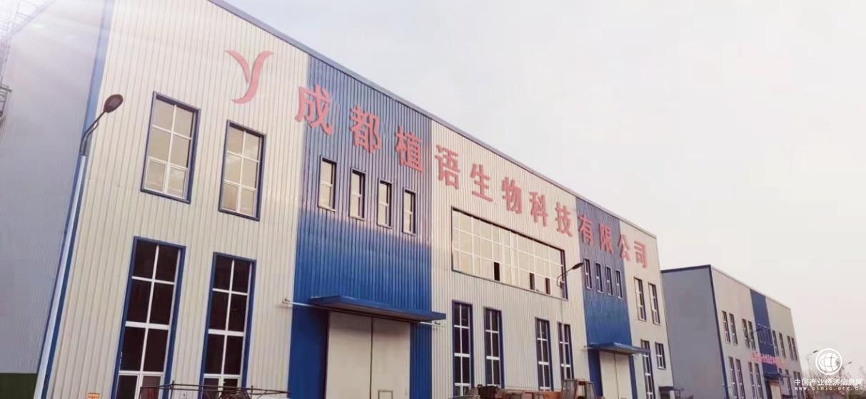  汪阳洋：大学生返乡创业到集团公司的成立