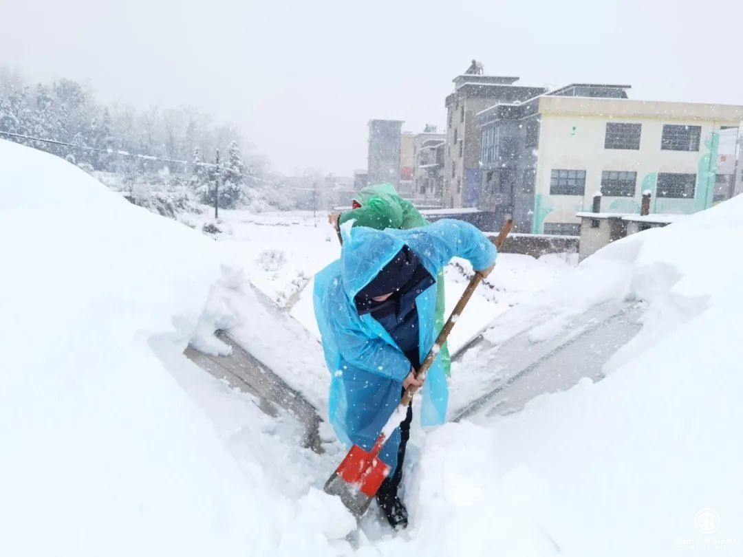  湖南邵阳隆回烟草：抗暴雪护烟苗 党员突击队在行动