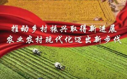 有关部门负责人解读中央一号文件热点话题