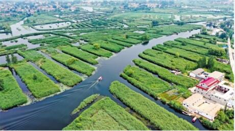 这些词串起一条昂扬曲线——历年两会经济热词折射中国发展轨迹