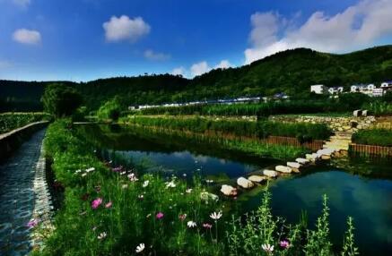 湖北推动生态环境损害赔偿改革 赔偿额30万元以下可走简易程序