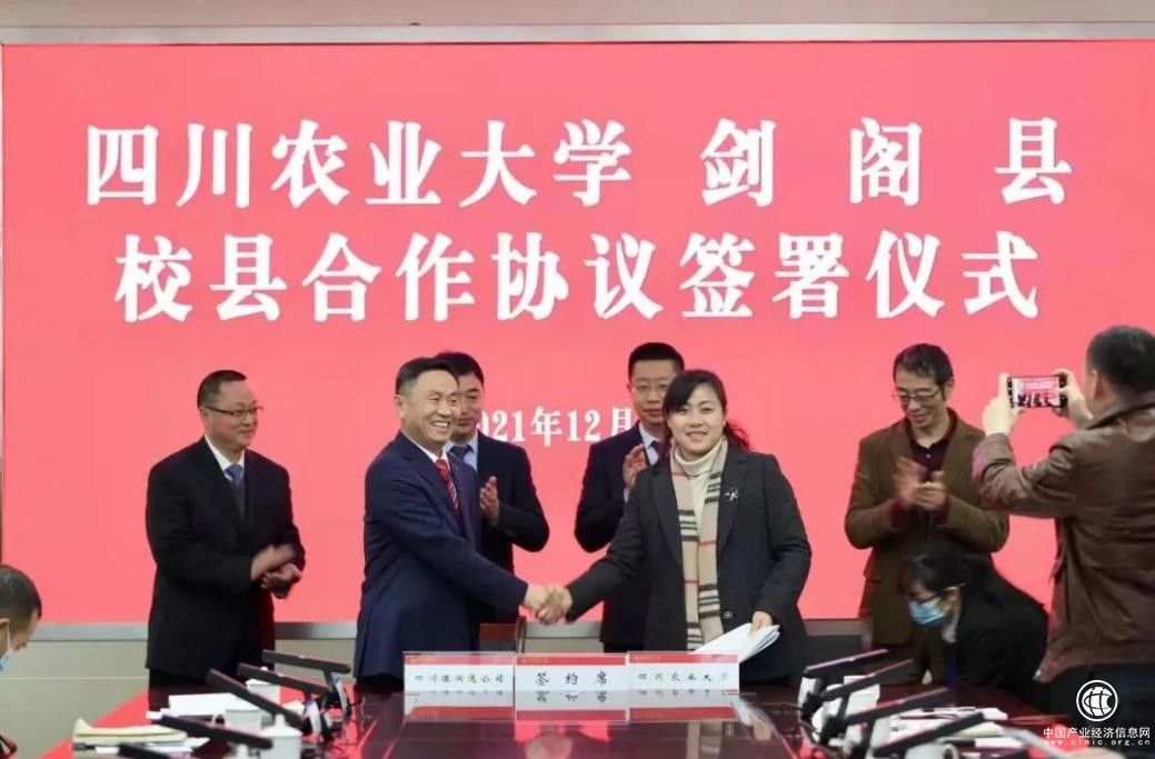  德润通：携手四川农大，共创高质量科技之路