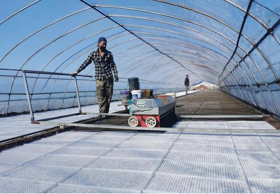 北大荒集团黑龙江鸭绿河农场有限公司“十字”口诀提高水稻摆盘质量