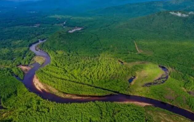 停伐7年内蒙古大兴安岭林区增林添绿