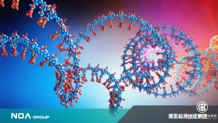 2022第三方检测最新政策公布