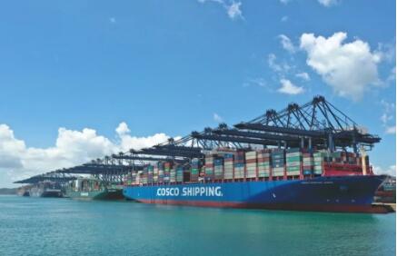 中国远洋海运：为打造世界一流企业聚力赋能