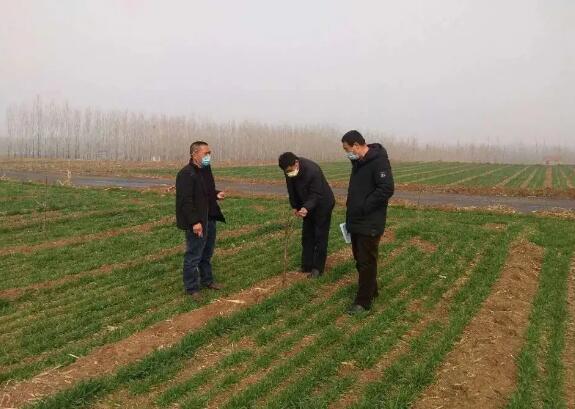 农业农村部：统筹抓好疫情防控和春耕生产