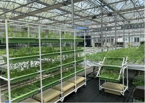 农业农村部印发《国家级农作物种质资源库(圃)管理规范》