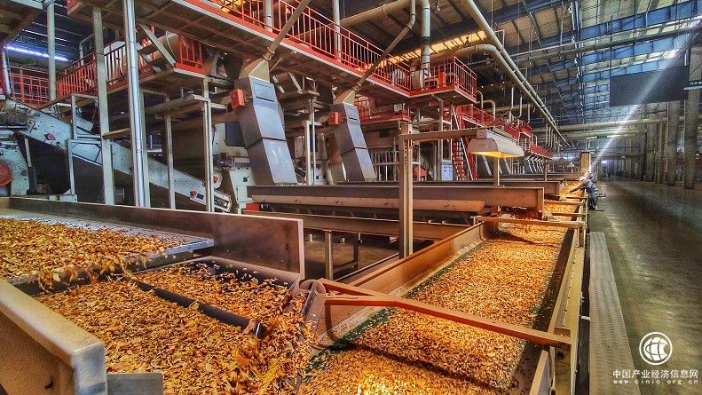  云南烟叶复烤有限责任公司楚雄复烤厂2021烤季生产任务圆满完成