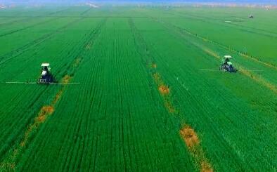 让中国饭碗装更多河南粮 看“中原农谷”如何发力