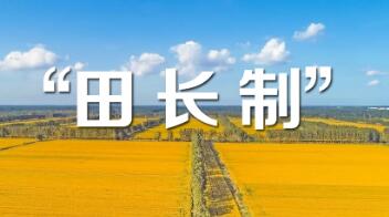 广西：五级田长制保障粮食生产