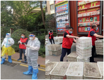  鹿邑县烟草专卖局：党员在社区“疫”线诠释初心使命