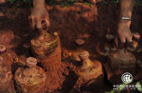  大地魂酒：种出来的醇香美酒