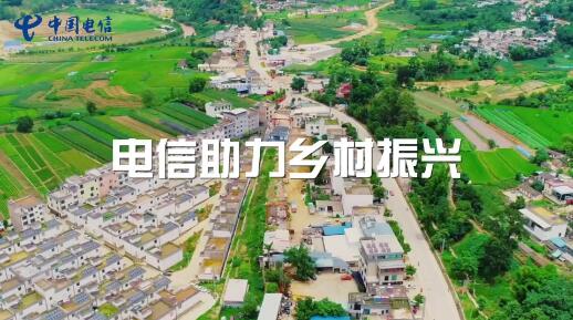 乡村振兴开新局 中国电信履行央企责任担当