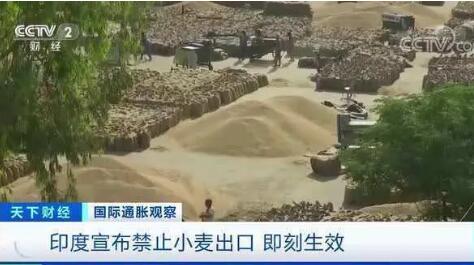 印度禁止小麦出口 业内：对中国冲击可忽略不计