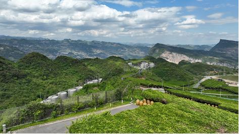 云锦佳酿 5G 8K酿造幸福生活