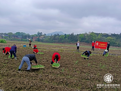 湖南永兴烟草：党群心连心  服务实打实