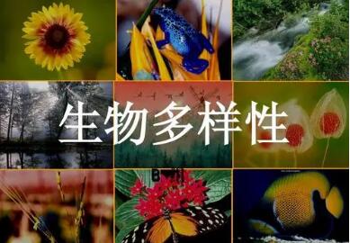 我国生物多样性保护取得显著成就