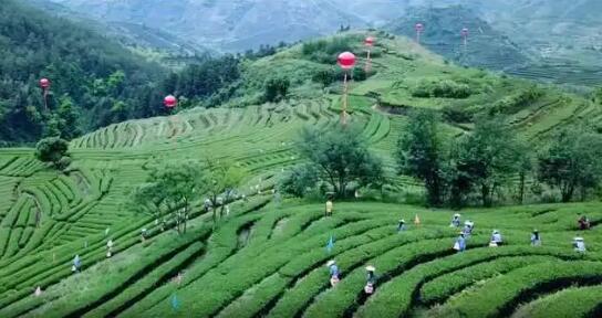 我国全球重要农业文化遗产增至18项数量居世界首位