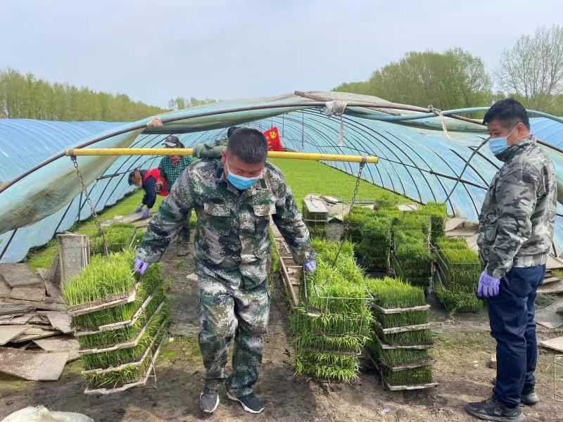 北大荒集团黑龙江八五三“三种”模式打造综合型“尖兵”队伍